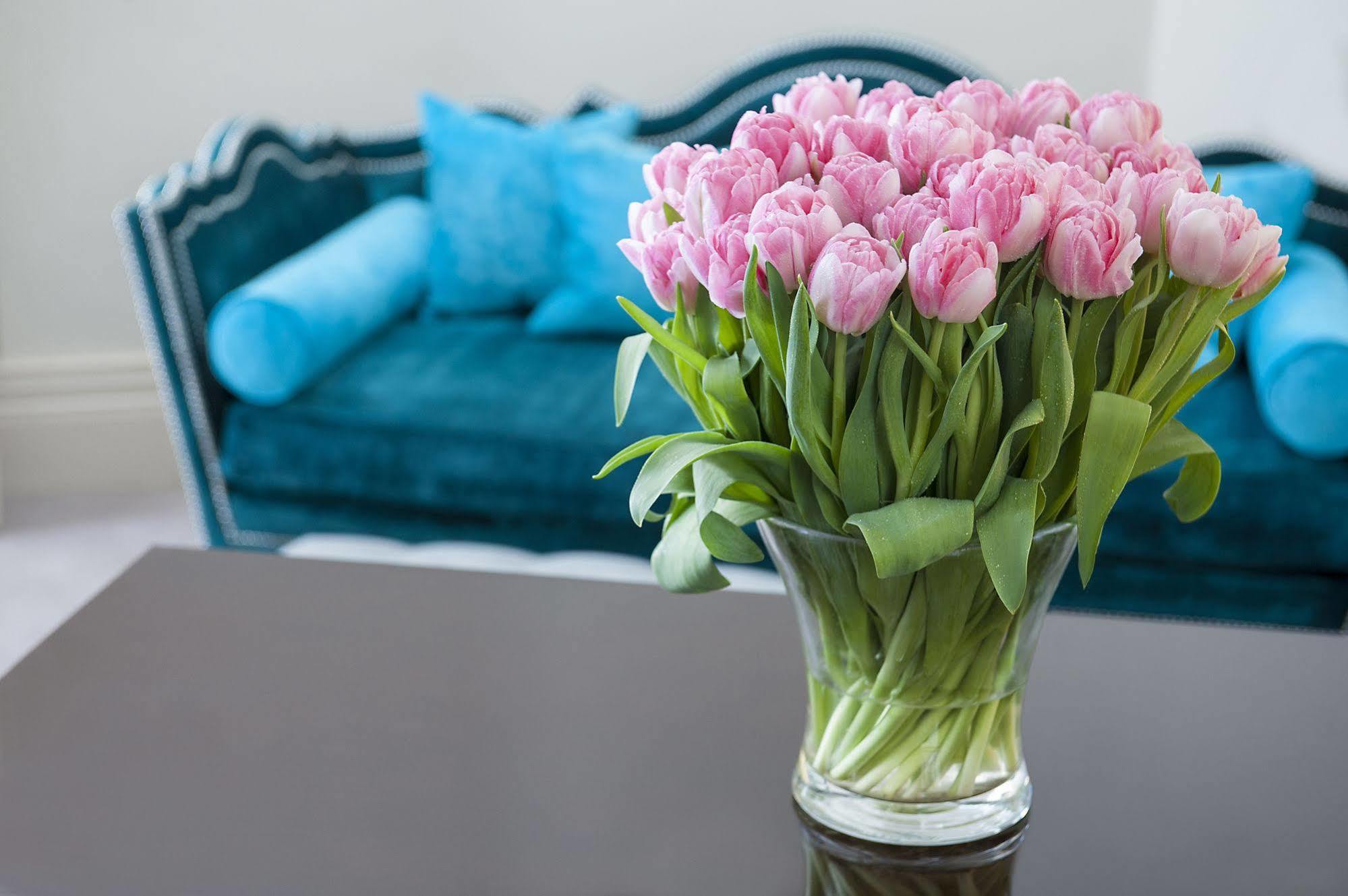 The Apartments By The Sloane Club London Ngoại thất bức ảnh